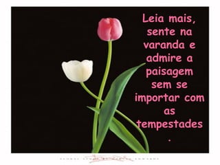 Leia mais,
   sente na
  varanda e
   admire a
   paisagem
    sem se
importar com
       as
 tempestades
        .
 