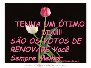 TENHA UM ÓTIMO
       DIA!!!!
SÃO OS VOTOS DE
RENOVARE Você
Sempre Melhor
        www.otimismoemrede.com
 