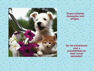 Posso lamentar decepções com amigos... Ou me entusiasmar com a possibilidade de fazer novas amizades! 