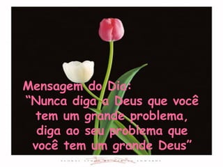 Mensagem do Dia:  “Nunca diga a Deus que você tem um grande problema, diga ao seu problema que você tem um grande Deus” 