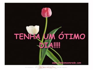 TENHA UM ÓTIMO DIA!!!! www.otimismoemrede.com 