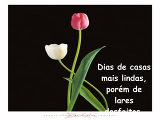 Dias de casas mais lindas, porém de lares desfeitos. 