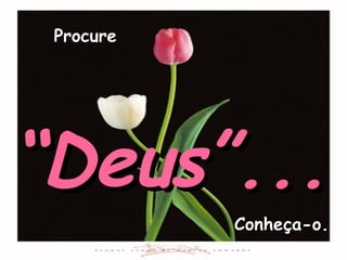 Procure “ Deus”... Conheça-o. 
