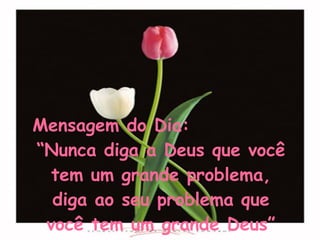 Mensagem do Dia:  “Nunca diga a Deus que você tem um grande problema, diga ao seu problema que você tem um grande Deus” 