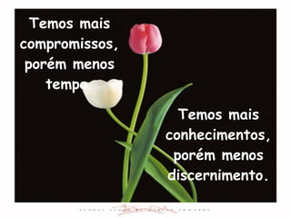 Temos mais conhecimentos, porém menos discernimento. Temos mais compromissos, porém menos tempo. 