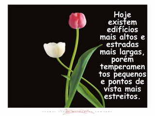 Hoje existem edifícios mais altos e estradas mais largas, porém temperamentos pequenos e pontos de vista mais estreitos. 