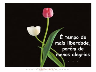 É tempo de mais liberdade, porém de menos alegrias . . . 