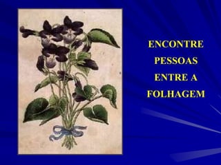 ENCONTRE
PESSOAS
ENTRE A
FOLHAGEM
 