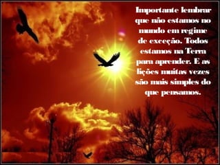 Importante lembrar
que não estamos no
mundo em regime
de exceção. Todos
estamos na Terra
para aprender. E as
lições muitas vezes
são mais simples do
que pensamos.

 