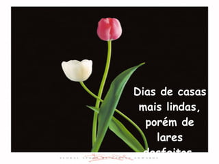 Dias de casas mais lindas, porém de lares desfeitos. 