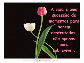 A vida é uma sucessão de momentos para serem desfrutados, não apenas para sobreviver. 