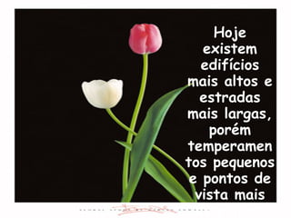 Hoje existem edifícios mais altos e estradas mais largas, porém temperamentos pequenos e pontos de vista mais estreitos. 