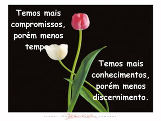 Temos mais conhecimentos, porém menos discernimento. Temos mais compromissos, porém menos tempo. 
