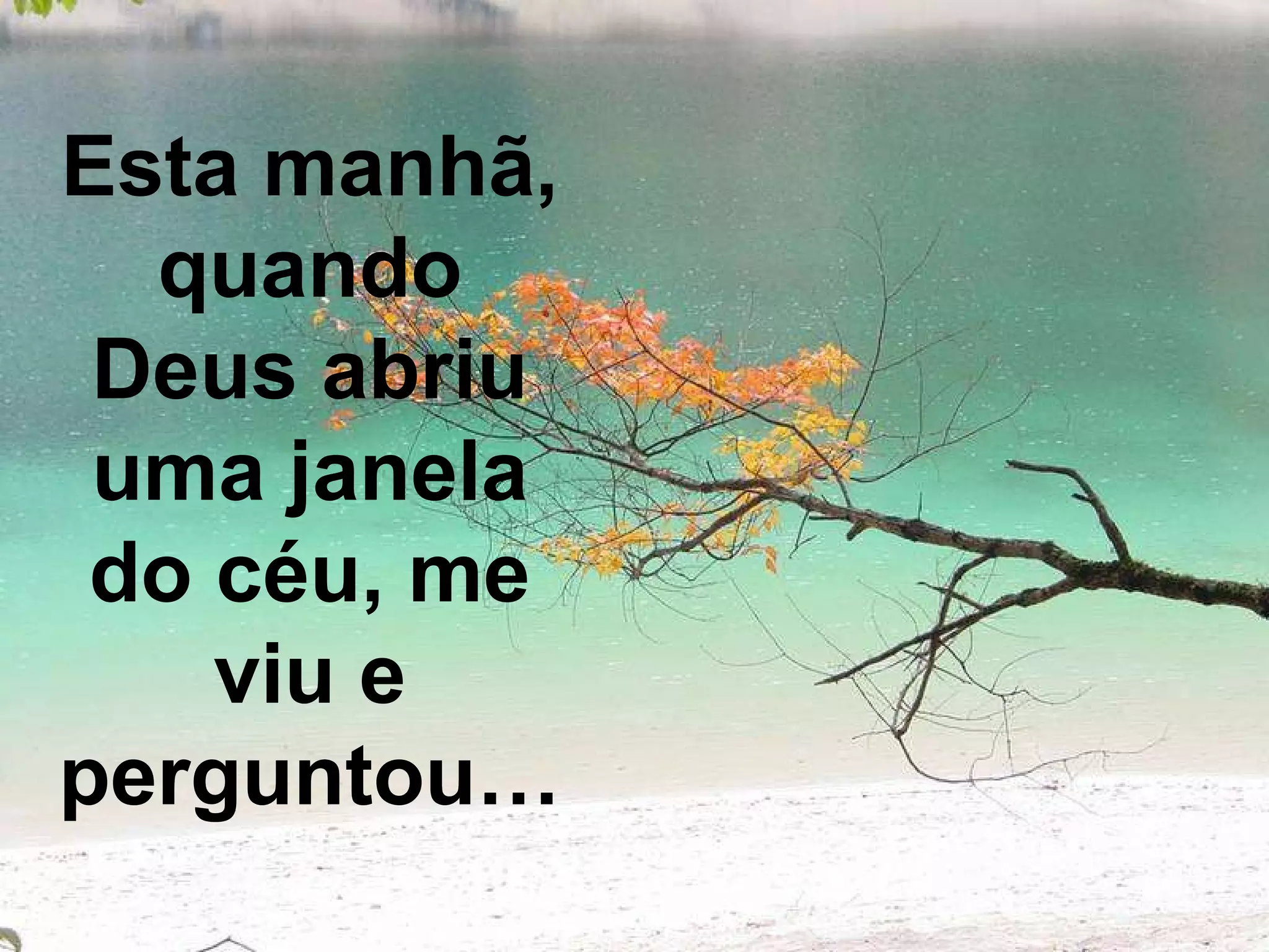 Esta manhã, quando Deus abriu uma janela do céu, me viu e perguntou…