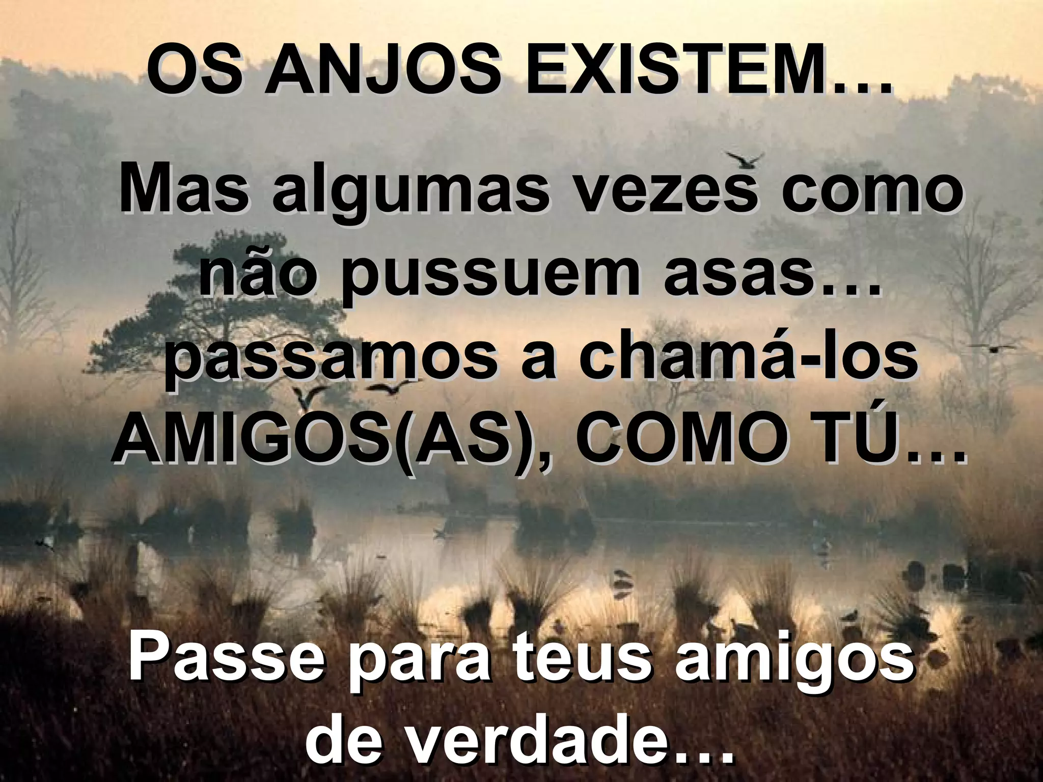 OS ANJOS EXISTEM…OS ANJOS EXISTEM…
Mas algumas vezes comoMas algumas vezes como
não pussuem asas…não pussuem asas…
passamos a chamá-lospassamos a chamá-los
AMIGOS(AS), COMO TÚ…AMIGOS(AS), COMO TÚ…
Passe para teus amigosPasse para teus amigos
de verdade…de verdade…
 