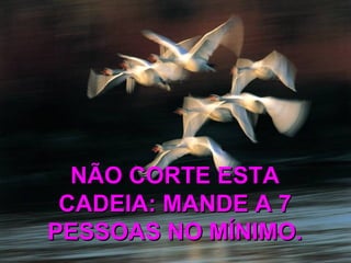 NÃO CORTE ESTANÃO CORTE ESTA
CADEIA: MANDE A 7CADEIA: MANDE A 7
PESSOAS NO MÍNIMO.PESSOAS NO MÍNIMO.
 