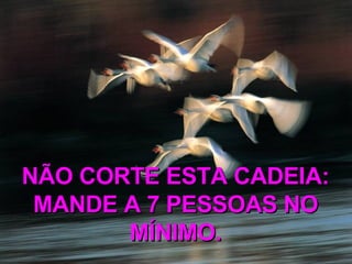 NÃO CORTE ESTA CADEIA: MANDE A 7 PESSOAS NO MÍNIMO. 