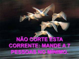 NÃO CORTE ESTA
CORRENTE: MANDE A 7
 PESSOAS NO MÍNIMO.
 