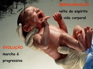 REENCARNAÇÃO  volta do espírito  à vida corporal  EVOLUÇÃO   marcha é  progressiva  