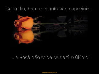 Cada dia, hora e minuto são especiais... ... e você não sabe se será o último! 