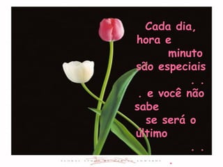 Cada dia, hora e  minuto são especiais  . . . e você não sabe  se será o último  . . . 