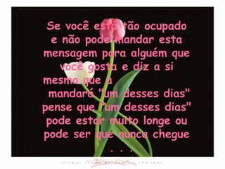 Se você está tão ocupado e não pode mandar esta mensagem para alguém que você gosta e diz a si mesmo que a  mandará "um desses dias" pense que "um desses dias" pode estar muito longe ou pode ser que nunca chegue  . . . 