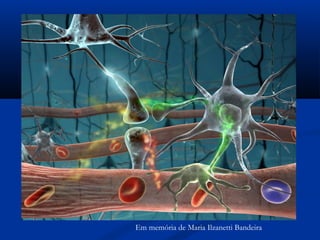 Em memória de Maria Ilzanetti Bandeira
 