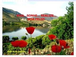 VIVA...SONHE... REALIZE... SEJA FELIZ!  João M.B. Santos 