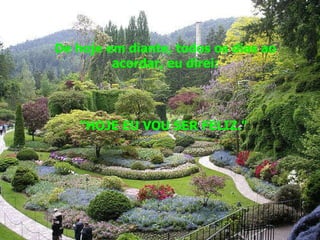 De hoje em diante, todos os dias ao acordar, eu direi: "HOJE EU VOU SER FELIZ."  