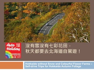 沒有雪沒有七彩花田， 
秋天都要去北海道自駕遊！ 
Hokkaido without Snow and Colourful Flower Farms – 
Self-drive Trips for Hokkaido Autumn Foliage 
 