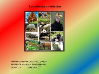 Los animales de extincion
ALUMNO:ALDAIR CAYETANO LAGOS
PROFESORA:MIRIAN SANTISTEBAN
GRADO: 5 SEXION:A ///
 