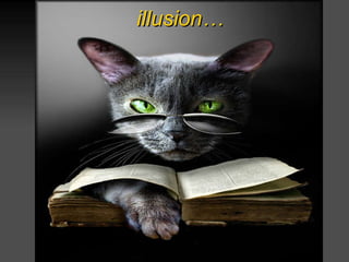 illusion … 