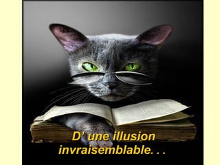 D ’  une illusion invraisemblable . . .   