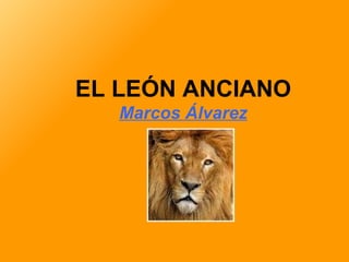 EL LEÓN ANCIANO Marcos Álvarez 