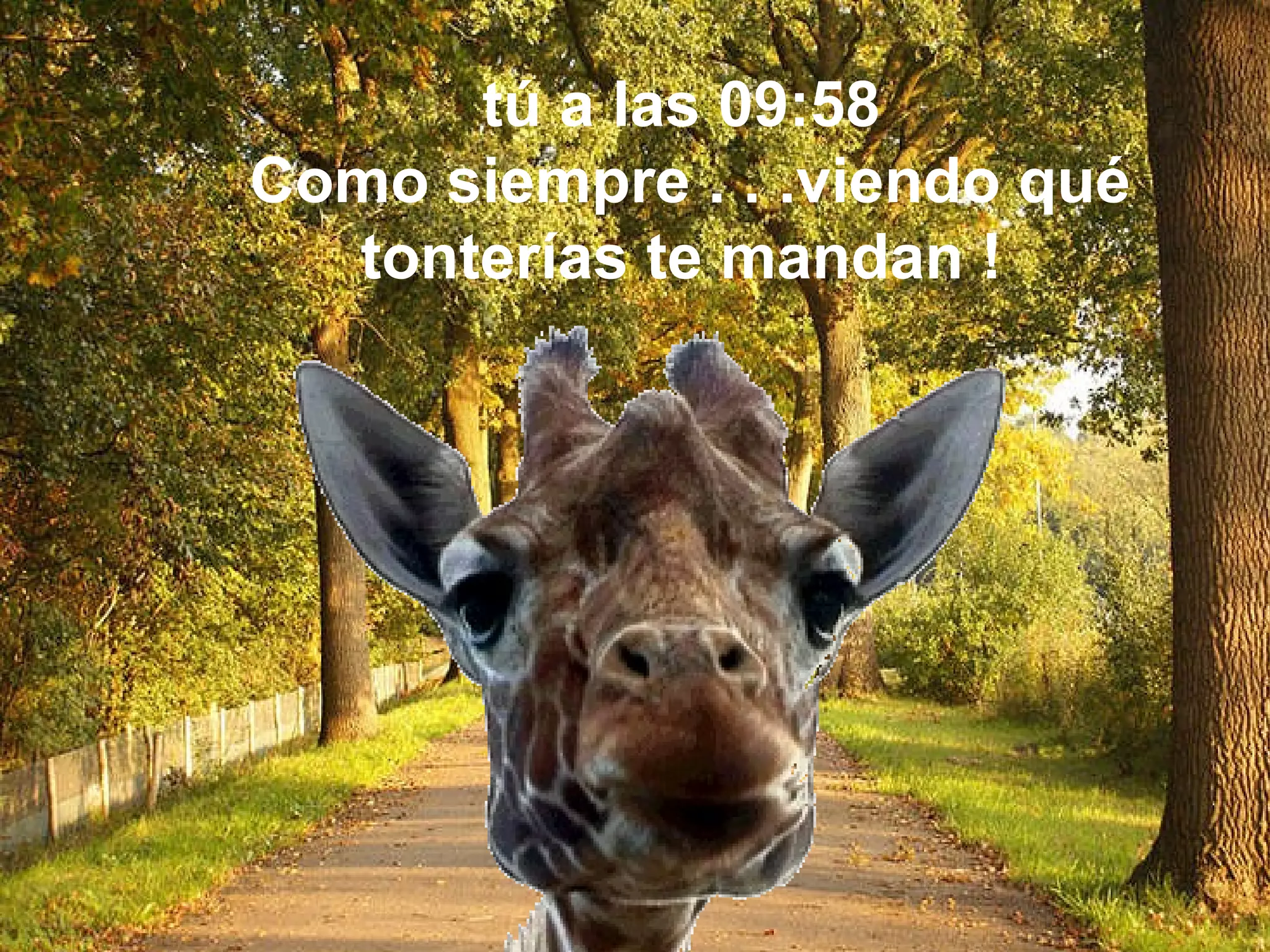 tú a las 09:58 Como siempre . . .viendo qué tonterías te mandan !