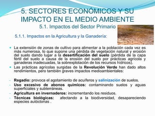 5. SECTORES ECONÓMICOS Y SU
IMPACTO EN EL MEDIO AMBIENTE
5.1. Impactos del Sector Primario
 La extensión de zonas de cultivo para alimentar a la población cada vez es
más numerosa, lo que supone una pérdida de vegetación natural y erosión
del suelo dando lugar a la desertificación del suelo (pérdida de la capa
fértil del suelo a causa de la erosión del suelo por prácticas agrícola y
ganaderas inadecuadas, la sobrexplotación de los recursos hídricos).
 Las prácticas agrícolas surgidas de la Revolución Verde han dado altos
rendimientos, pero también graves impactos medioambientales:
- Regadío: provoca el agotamiento de acuíferos y salinización de suelos.
- Uso excesivo de abonos químicos: contaminando suelos y aguas
superficiales y subterráneas.
- Agricultura en invernaderos: incrementando los residuos.
- Técnicas biológicas: afectando a la biodiversidad, desapareciendo
especies autóctonas .
5.1.1. Impactos en la Agricultura y la Ganadería:
 