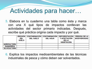 Actividades para hacer…
5. Elabora en tu cuaderno una tabla como ésta y marca
con una X qué tipos de impactos conllevan las
actividades del sector primario indicadas. Después,
escribe qué práctica origina cada impacto y por qué.
6. Explica los impactos medioambientales de las técnicas
industriales de pesca y cómo deben ser solventados.
 