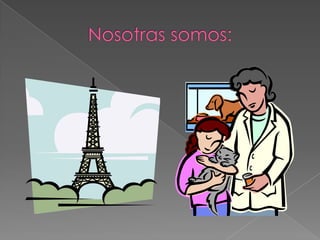 Nosotras somos: