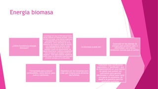 Energia biomasa
¿Cómo funciona la energía
biomasa?
La energía de hoy la biomasa procede
de los cultivos en hileras anuales, como
el maíz y la soja, y las sobras orgánicas
procedentes de la agricultura y la
silvicultura, como cáscaras de arroz,
desechos de madera y caña de azúcar.
Los investigadores también están
desarrollando formas de producir
energía a partir de especimenes, de
rápido crecimiento "cultivos energéticos"
como el sauce y el césped Panicum
virgatum. Todo este material vegetal se
puede tratar de diferentes maneras para
producir energía y el combustible.
La biomasa puede ser:
Quemado en las plantas de
energía para producir calor o
electricidad, con menos
emisiones nocivas que el carbón.
Fermentada para producir
combustibles, como etanol, para
autos y camiones.
Digeridos por las bacterias para
crear gas metano para alimentar
las turbinas.
Calentado bajo condiciones
especiales, o "gasificado", que
se descomponen en una mezcla
de gases que pueden ser
quemados para generar
electricidad o utilizar para hacer
una gama de productos, de
diesel a la gasolina para los
productos químicos.
 