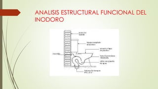 ANALISIS ESTRUCTURAL FUNCIONAL DEL
INODORO
 
