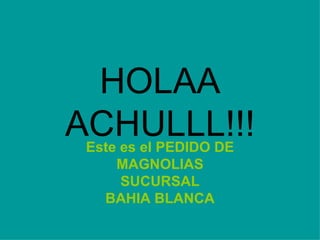 HOLAA ACHULLL!!! Este es el PEDIDO DE MAGNOLIAS SUCURSAL BAHIA BLANCA 
