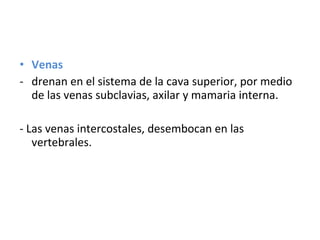 • Venas
- drenan en el sistema de la cava superior, por medio
de las venas subclavias, axilar y mamaria interna.
- Las venas intercostales, desembocan en las
vertebrales.
 