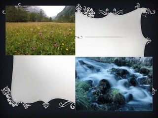 Hola hem dic estrella baix a la classe