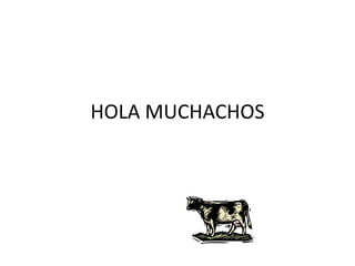 HOLA MUCHACHOS 