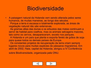 Biodiversidade A paisagem natural da Holanda vem sendo alterada pelos seres humanos, de muitas maneiras, ao longo dos séculos.   Porque a terra é escassa e totalmente explorada, as áreas de vegetação natural não são extensivas.   As gramas altas das dunas e os arbustos das matas continuam a servir de habitat para coelhos, mas os animais selvagens maiores, tais como os cervos, desapareceram, exceto nos parques.    A Holanda e um país que planta e exporta farelo de grãos de soja para quase todos os demais países da Europa.   Os constantes projetos de recuperação da terra criam sempre lugares novos para muitas espécies de pássaros migratórios. Em abril de 2002, Haia, capital da Holanda, abrigou a IV Conferência sobre Biodiversidade, organizada pela ONU.   