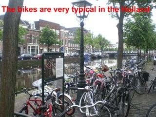 The bikes are very typical in the Holland
 