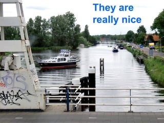 They are
really nice
 