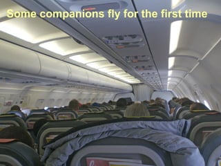 Some companions fly for the first time
 