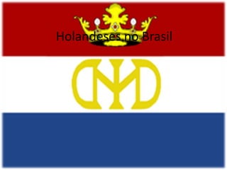 Holandeses no Brasil 