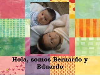 Hola, somos Bernardo y Eduardo 